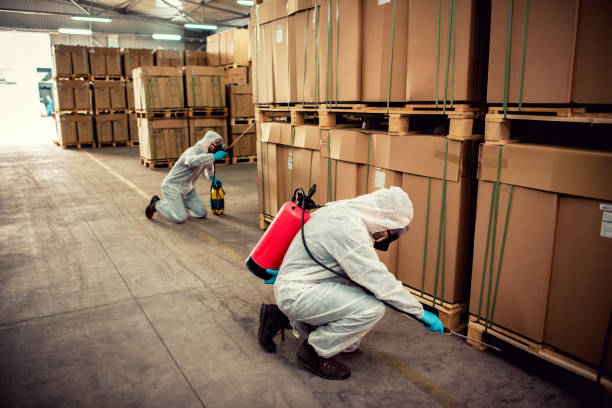 Best Residential Pest Control  in Salem, WV