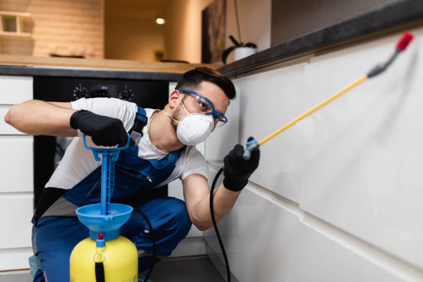 Best Pest Control for Businesses  in Salem, WV
