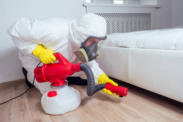 Best Best Pest Control Companies  in Salem, WV