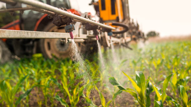 Best Mosquito Control Services  in Salem, WV